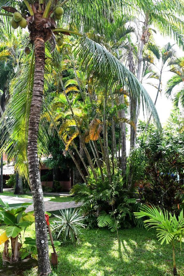 Hotel Ambaibo Rurrenabaque Esterno foto